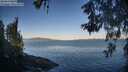 ./images/koeye/fitz-hugh/20260601/fitz-hugh20260601_064002M.jpg