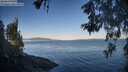 ./images/koeye/fitz-hugh/20260601/fitz-hugh20260601_065501M.jpg