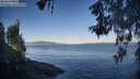 ./images/koeye/fitz-hugh/20260601/fitz-hugh20260601_070001M.jpg