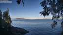 ./images/koeye/fitz-hugh/20260601/fitz-hugh20260601_070502M.jpg