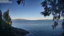 ./images/koeye/fitz-hugh/20260601/fitz-hugh20260601_071001M.jpg