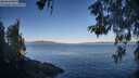 ./images/koeye/fitz-hugh/20260601/fitz-hugh20260601_072002M.jpg