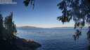 ./images/koeye/fitz-hugh/20260601/fitz-hugh20260601_072501M.jpg