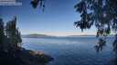 ./images/koeye/fitz-hugh/20260601/fitz-hugh20260601_073002M.jpg