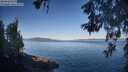 ./images/koeye/fitz-hugh/20260601/fitz-hugh20260601_073501M.jpg