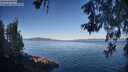 ./images/koeye/fitz-hugh/20260601/fitz-hugh20260601_074001M.jpg