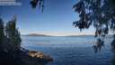 ./images/koeye/fitz-hugh/20260601/fitz-hugh20260601_074501M.jpg