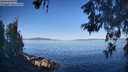 ./images/koeye/fitz-hugh/20260601/fitz-hugh20260601_080001M.jpg