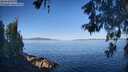 ./images/koeye/fitz-hugh/20260601/fitz-hugh20260601_080501M.jpg
