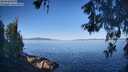 ./images/koeye/fitz-hugh/20260601/fitz-hugh20260601_081001M.jpg