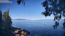 ./images/koeye/fitz-hugh/20260601/fitz-hugh20260601_083001M.jpg