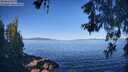./images/koeye/fitz-hugh/20260601/fitz-hugh20260601_083501M.jpg