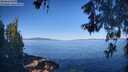 ./images/koeye/fitz-hugh/20260601/fitz-hugh20260601_084001M.jpg