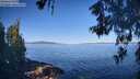 ./images/koeye/fitz-hugh/20260601/fitz-hugh20260601_084501M.jpg