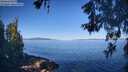 ./images/koeye/fitz-hugh/20260601/fitz-hugh20260601_085001M.jpg