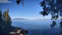 ./images/koeye/fitz-hugh/20260601/fitz-hugh20260601_085501M.jpg