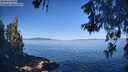 ./images/koeye/fitz-hugh/20260601/fitz-hugh20260601_090002M.jpg