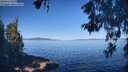 ./images/koeye/fitz-hugh/20260601/fitz-hugh20260601_091002M.jpg