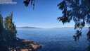 ./images/koeye/fitz-hugh/20260601/fitz-hugh20260601_093001M.jpg