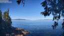 ./images/koeye/fitz-hugh/20260601/fitz-hugh20260601_093502M.jpg