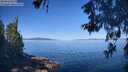 ./images/koeye/fitz-hugh/20260601/fitz-hugh20260601_094001M.jpg