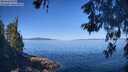 ./images/koeye/fitz-hugh/20260601/fitz-hugh20260601_095001M.jpg