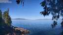 ./images/koeye/fitz-hugh/20260601/fitz-hugh20260601_095501M.jpg