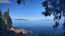 ./images/koeye/fitz-hugh/20260601/fitz-hugh20260601_101501M.jpg