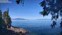 ./images/koeye/fitz-hugh/20260601/fitz-hugh20260601_102002M.jpg