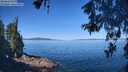 ./images/koeye/fitz-hugh/20260601/fitz-hugh20260601_102501M.jpg