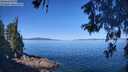 ./images/koeye/fitz-hugh/20260601/fitz-hugh20260601_103002M.jpg