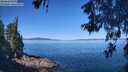 ./images/koeye/fitz-hugh/20260601/fitz-hugh20260601_103501M.jpg