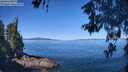 ./images/koeye/fitz-hugh/20260601/fitz-hugh20260601_104001M.jpg