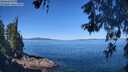./images/koeye/fitz-hugh/20260601/fitz-hugh20260601_104501M.jpg