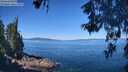 ./images/koeye/fitz-hugh/20260601/fitz-hugh20260601_105002M.jpg