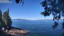 ./images/koeye/fitz-hugh/20260601/fitz-hugh20260601_111001M.jpg