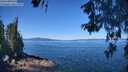 ./images/koeye/fitz-hugh/20260601/fitz-hugh20260601_111501M.jpg