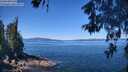 ./images/koeye/fitz-hugh/20260601/fitz-hugh20260601_112501M.jpg