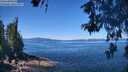 ./images/koeye/fitz-hugh/20260601/fitz-hugh20260601_113001M.jpg