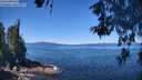 ./images/koeye/fitz-hugh/20260601/fitz-hugh20260601_113501M.jpg