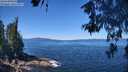 ./images/koeye/fitz-hugh/20260601/fitz-hugh20260601_114001M.jpg