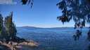 ./images/koeye/fitz-hugh/20260601/fitz-hugh20260601_114501M.jpg