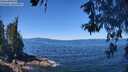 ./images/koeye/fitz-hugh/20260601/fitz-hugh20260601_115001M.jpg