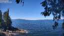 ./images/koeye/fitz-hugh/20260601/fitz-hugh20260601_115501M.jpg
