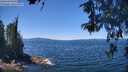 ./images/koeye/fitz-hugh/20260601/fitz-hugh20260601_124501M.jpg