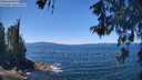 ./images/koeye/fitz-hugh/20260601/fitz-hugh20260601_125001M.jpg