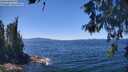 ./images/koeye/fitz-hugh/20260601/fitz-hugh20260601_131501M.jpg