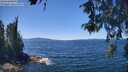 ./images/koeye/fitz-hugh/20260601/fitz-hugh20260601_132002M.jpg
