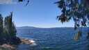 ./images/koeye/fitz-hugh/20260601/fitz-hugh20260601_132501M.jpg