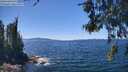 ./images/koeye/fitz-hugh/20260601/fitz-hugh20260601_134502M.jpg
